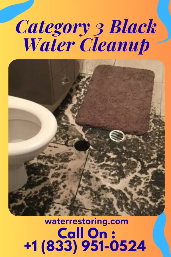 Category 3 Black Water Cleanup in Innovation, VA