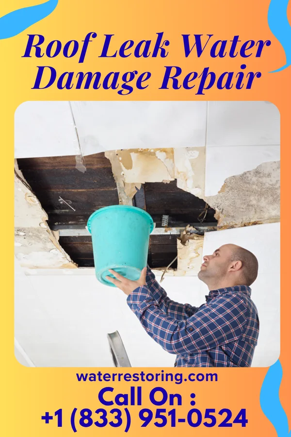 Roof Leak Water Damage Repair in Innovation, VA