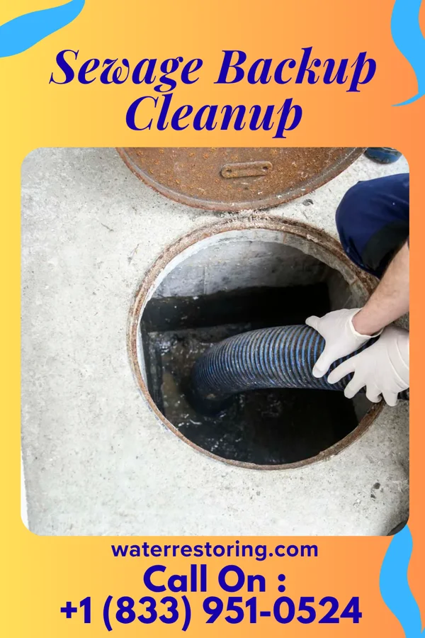 Sewage Backup Cleanup in Innovation, VA