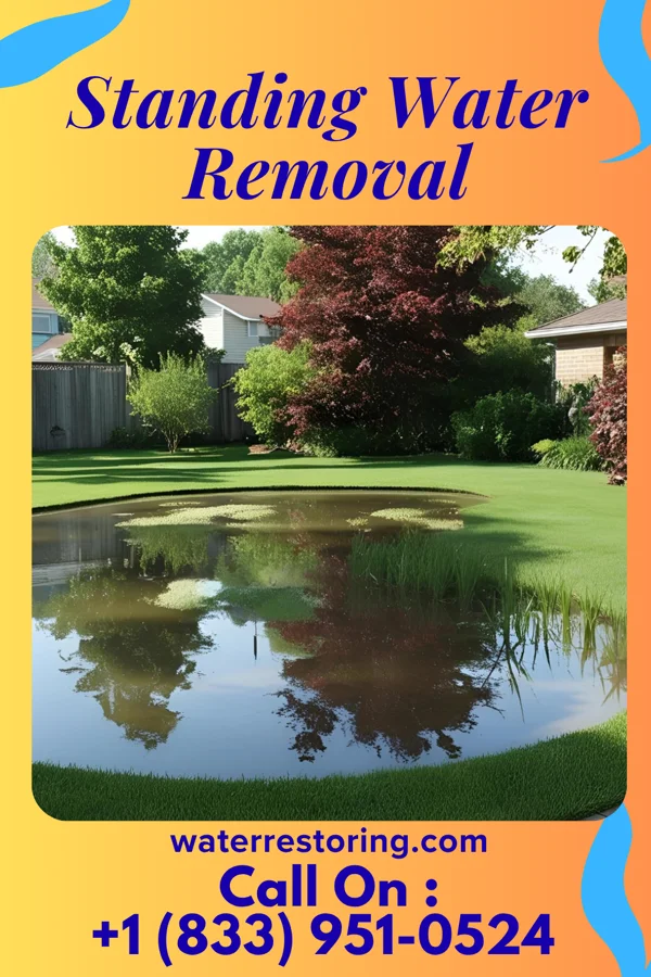 Standing Water Removal in Innovation, VA